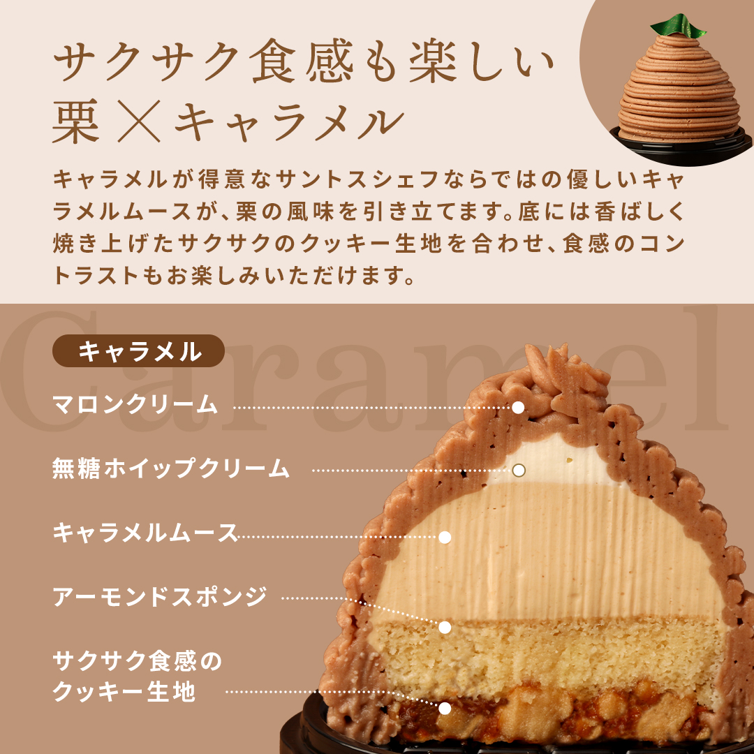 EC Design 6